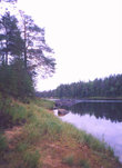Река Кемь в районе поселка Боровой. Вопреки популярному мнению, ни название реки, ни одноименного города не имеет отношения к ругательству. В Финляндии есть река с аналогичным названием — Кеми-Йоки.