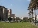 В жарком Каире есть и зелёная травка