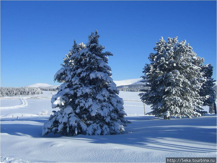 На Алтае зимой. Семинский перевал Семинский Перевал, Россия
