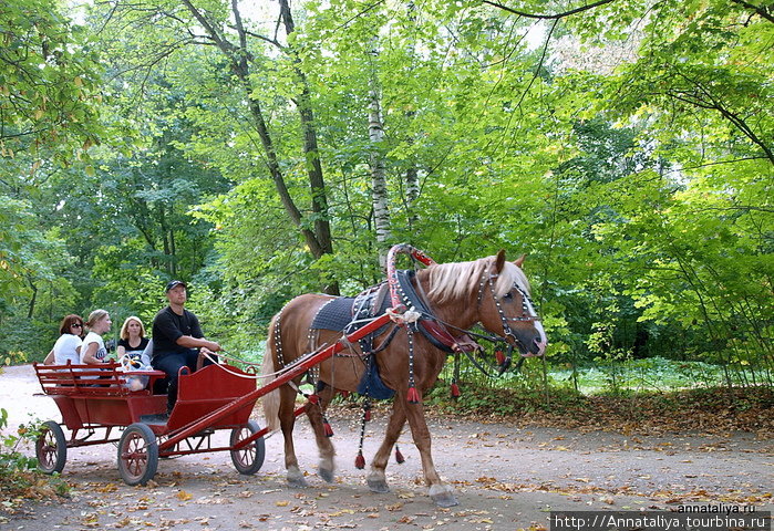 По усадьбе можно передвигаться пешком или на лошадке Ясная Поляна, Россия