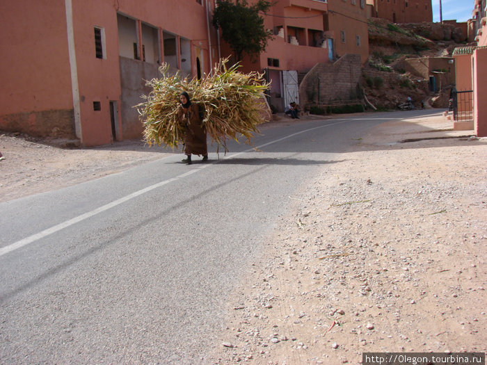 Тяжела жизнь местного люда Бульман, Марокко