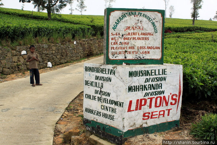 Указатель направления на смотровую площадку Lipton’s Seat Хапутале, Шри-Ланка