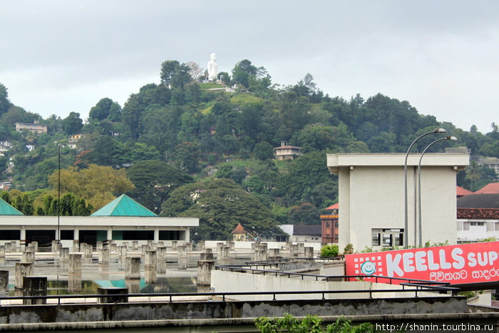 Белый Будда возвышается над крышами города Канди Канди, Шри-Ланка