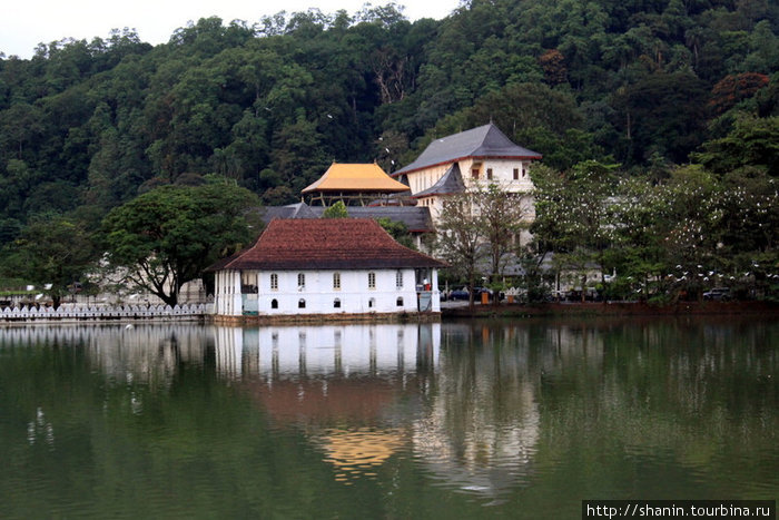Храм Зуба стоит на берегу искусственного озера Канди, Шри-Ланка