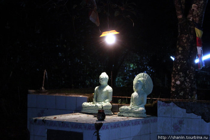 Будды Шри Пада Пик (Пик Адама 2243м)  заповедник дикой природы, Шри-Ланка