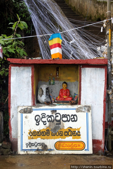 Белые нити ведут к Будде Шри Пада Пик (Пик Адама 2243м)  заповедник дикой природы, Шри-Ланка