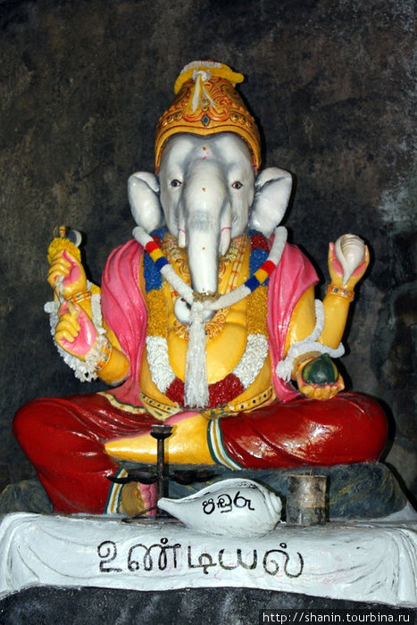 Слоноголовый бог Ганеша Шри Пада Пик (Пик Адама 2243м)  заповедник дикой природы, Шри-Ланка