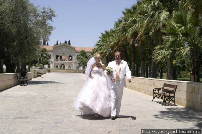 На Кипре еще можно пожениться! Лимассол, Кипр