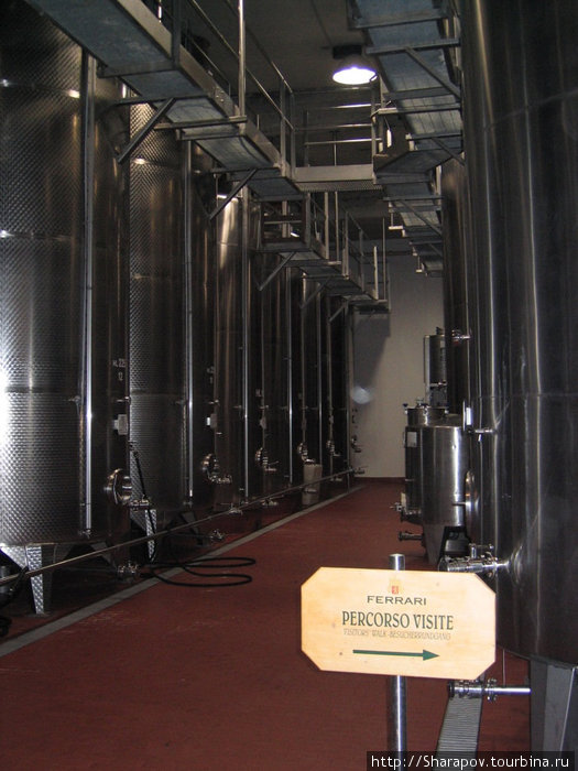 Завод шампанских вин Феррари Тренто, Италия