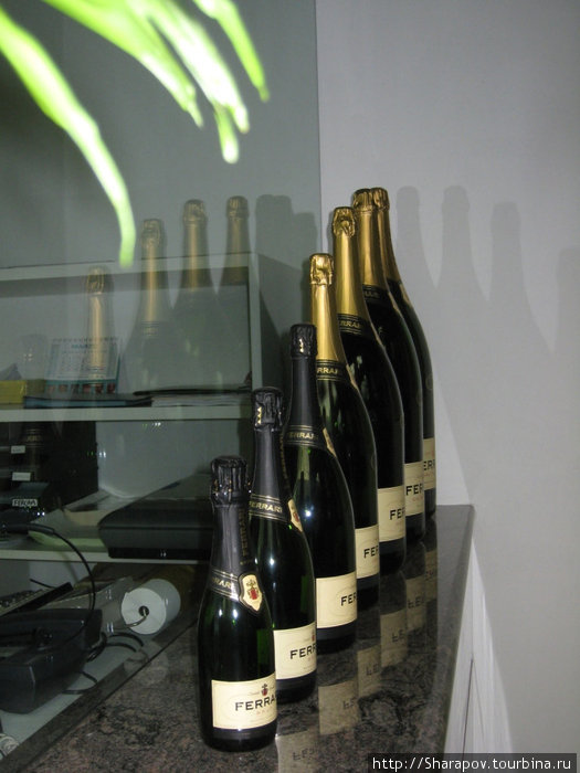 Завод шампанских вин Феррари
