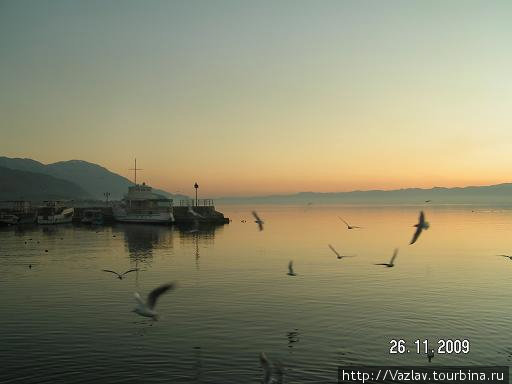 Птицы отходят ко сну Охрид, Северная Македония