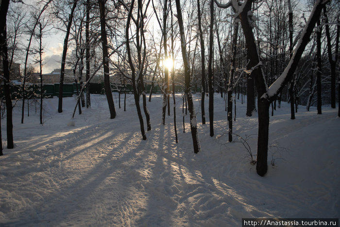 Зима, Нескучный сад Москва, Россия