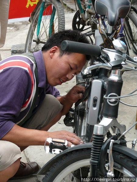 На велосипеде за пандой Шанхай, Китай