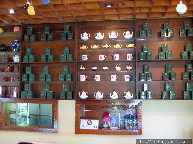 Чайная фабрика Шри-Ланка