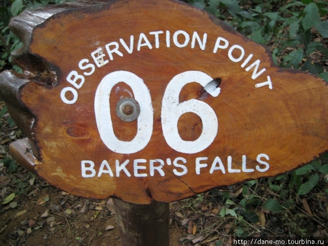 Водопад Бэйкера Хортон-Плэйнс Национальный Парк, Шри-Ланка