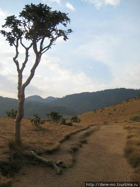 Плато Хортона. Часть 2 Хортон-Плэйнс Национальный Парк, Шри-Ланка
