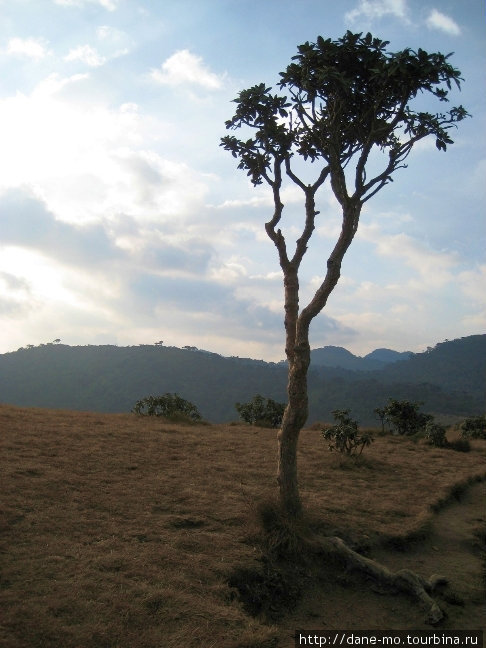 Плато Хортона. Часть 3 Хортон-Плэйнс Национальный Парк, Шри-Ланка