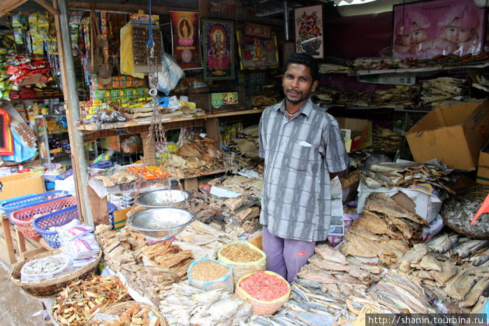 Торговец рыбой на рынке Бадулла, Шри-Ланка
