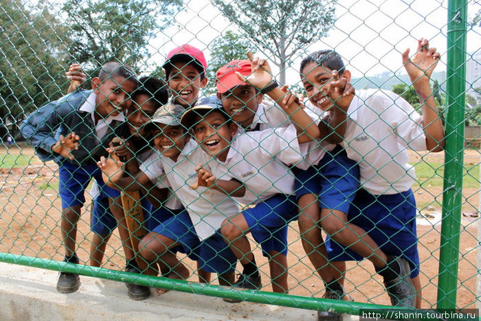 Школьники игроки в крикет (чисто английская игра) Бадулла, Шри-Ланка