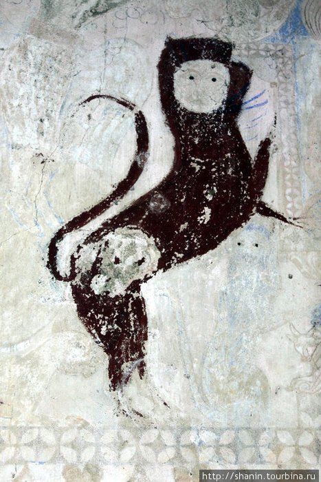 Лев? Или кошка? — фреска на стене храма Бадулла, Шри-Ланка