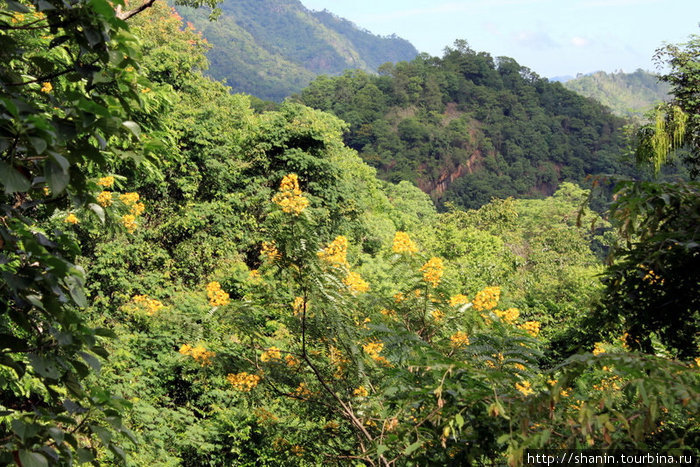 Вид на лес Бадулла, Шри-Ланка