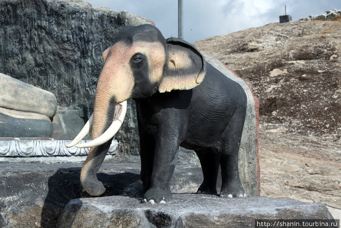 Статуя слона Ампара, Шри-Ланка