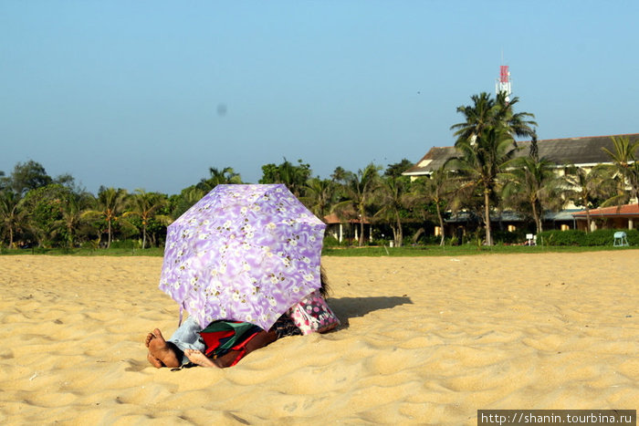 Влюбленные на пляже Негомбо, Шри-Ланка