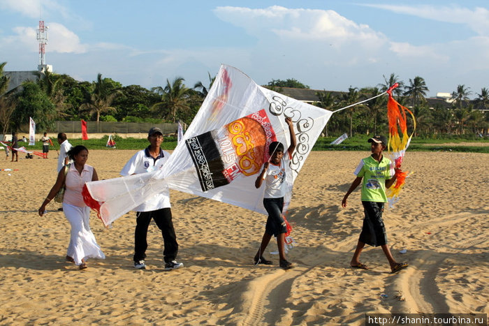 Запуск воздушного змея Негомбо, Шри-Ланка