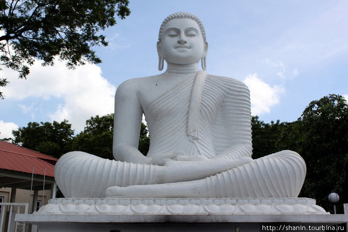Белый Будда Полоннарува, Шри-Ланка