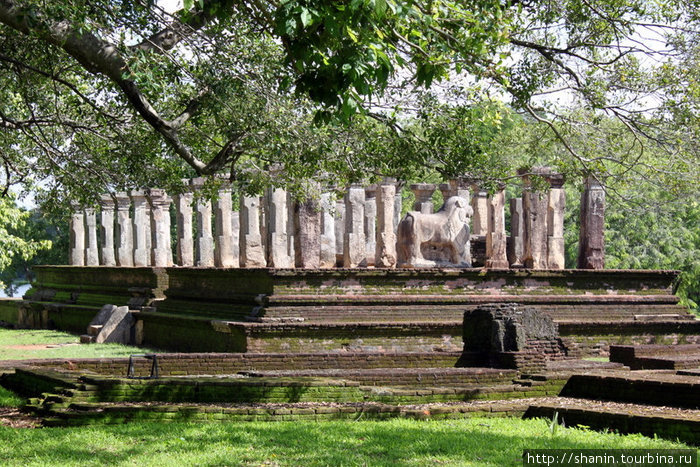 Руины храма — колонны и каменный лев Полоннарува, Шри-Ланка