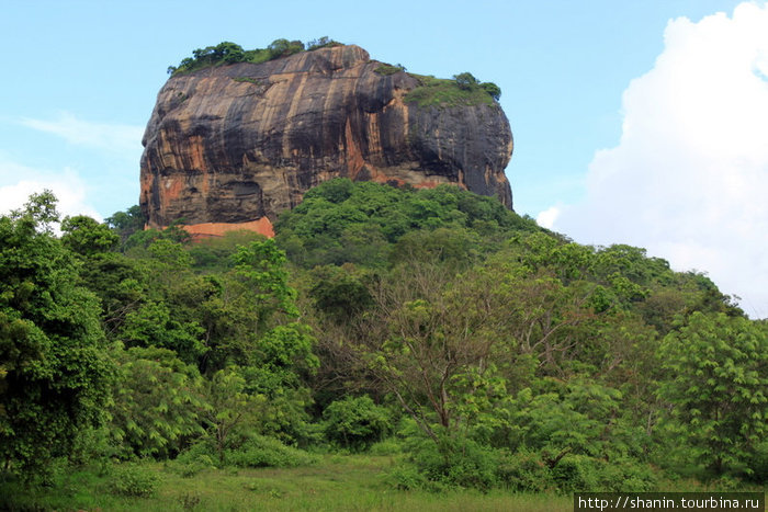 Скала Сигирия имеет естественное происхождение, но как будто специально создана природой для строительства на ее вершине неприступной крепости Сигирия, Шри-Ланка