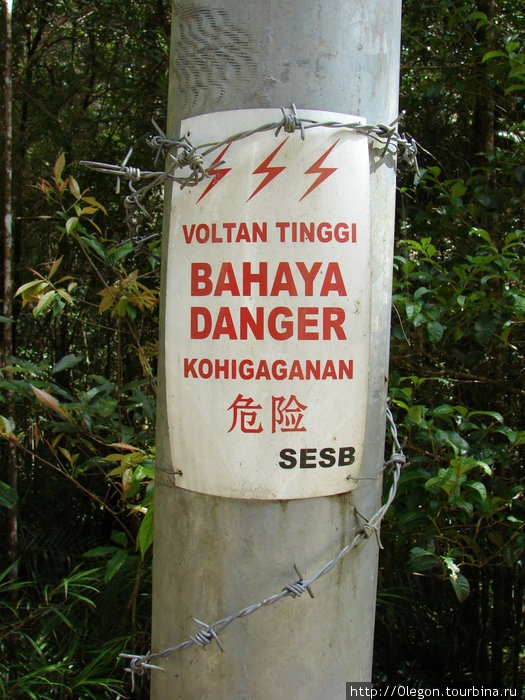 На столбы не залезать! Штат Сабах, Малайзия