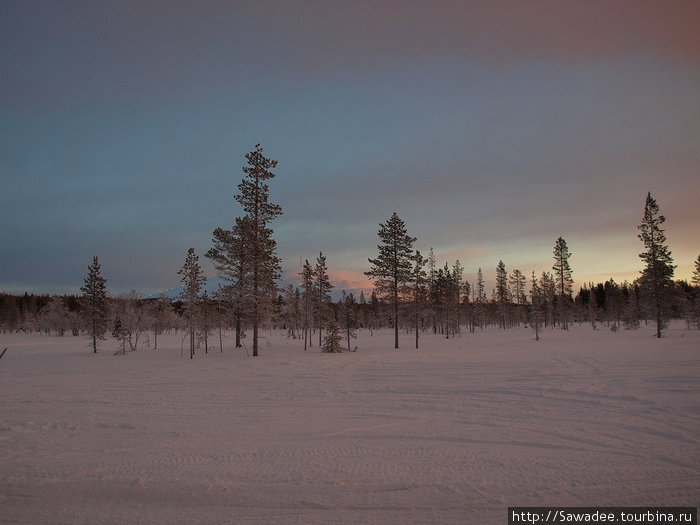 Покатушки на снегоходе Юлляс, Финляндия