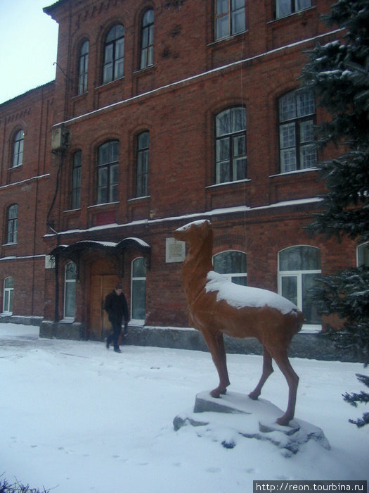 Необычный памятник у входа в учебное заведение по пути к монастырю Полоцк, Беларусь