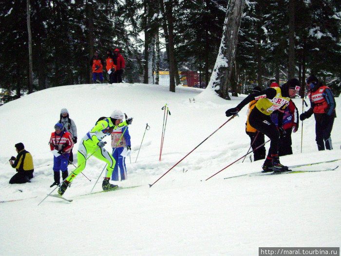 В жёлтой майке лидера на дёминском выключателе польская лыжница Юстина Ковальчик Рыбинск, Россия