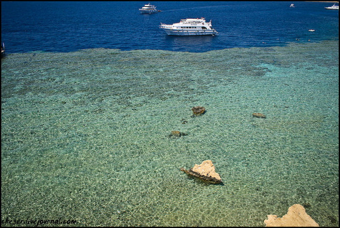 Граница зеленой и синей воды — склон рифа, практически отвесный обрыв, глубиной метров 30! Шарм-Эль-Шейх, Египет