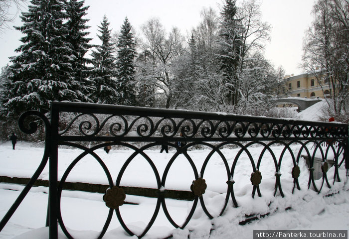 Однажды зимним пасмурным днем... Павловск, Россия