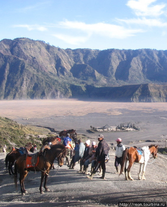 Чтобы проехать по дну кальдеры через Песчаное море к подножию кратера Бромо, наготове целый автопарк лошадок. Хотя идти недалеко, всего около километра Бромо-Тенггер-Семеру Национальный Парк, Индонезия