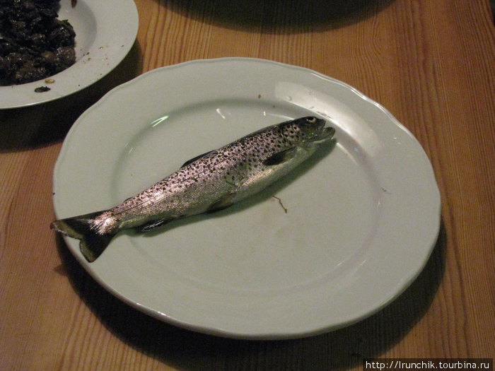 Вот она самая дорогая рыбка Остров Сенья, Норвегия