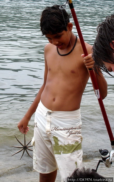 экзотический рыбак Итакуруса, Бразилия