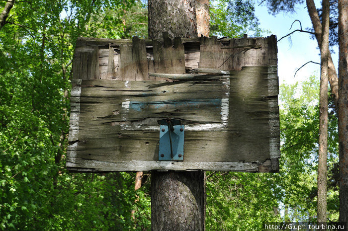 Странный щит, прибитый к дереву, стоящему на обрыве. Как там в былые времена играли в баскетбол — загадка... Звенигород, Россия