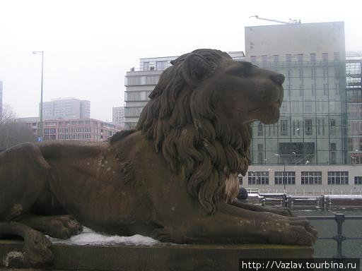 Лев неодобрительно и с подозрением смотрит на современную застройку Берлин, Германия