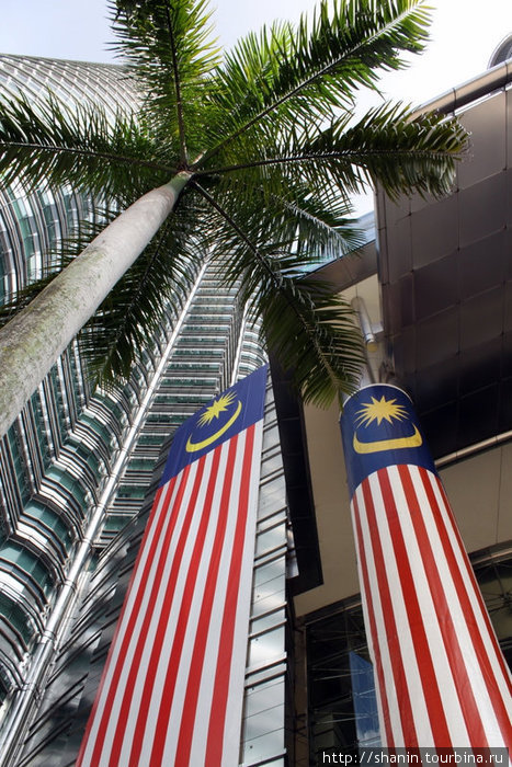 Пальма и флаги Куала-Лумпур, Малайзия
