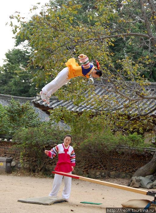 Летающие корейцы Сувон, Республика Корея