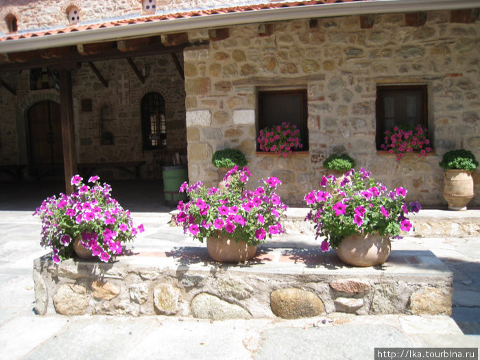 Цветы Каллифея, остров Родос, Греция