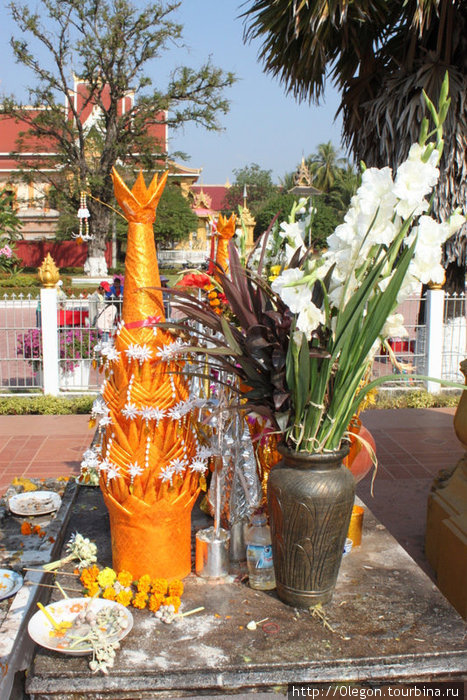 Везде цветы Вьентьян, Лаос