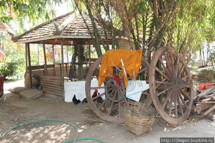 Сарайчик, куры и колёса от арбы Вьентьян, Лаос