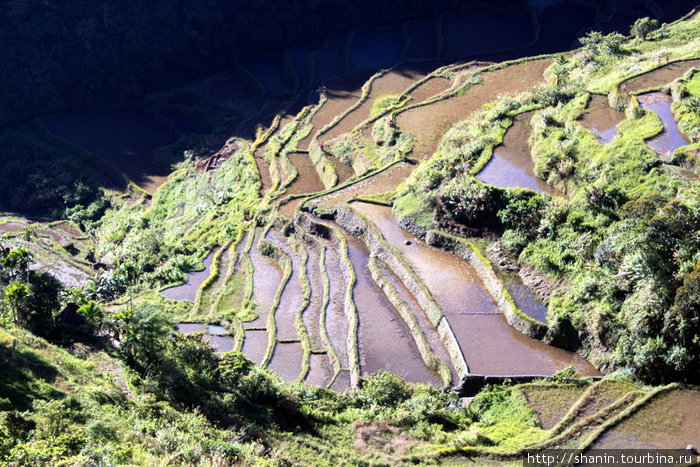 Рисовые террасы — на пути к другим, более знаменитым Банауэ Рисовые Террасы, Филиппины