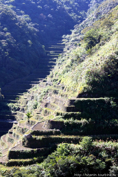 Рисовые террасы на крутом склоне — на пути к Батаду Банауэ Рисовые Террасы, Филиппины
