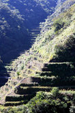 Рисовые террасы на крутом склоне — на пути к Батаду